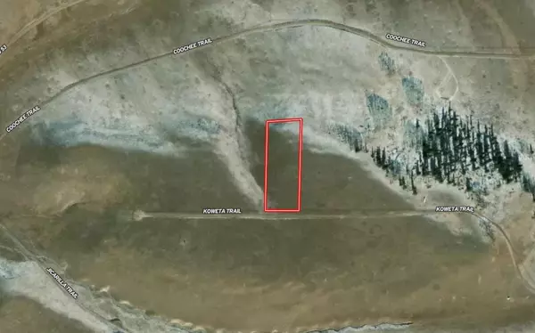 Hartsel, CO 80449,TBD Koweta TRL