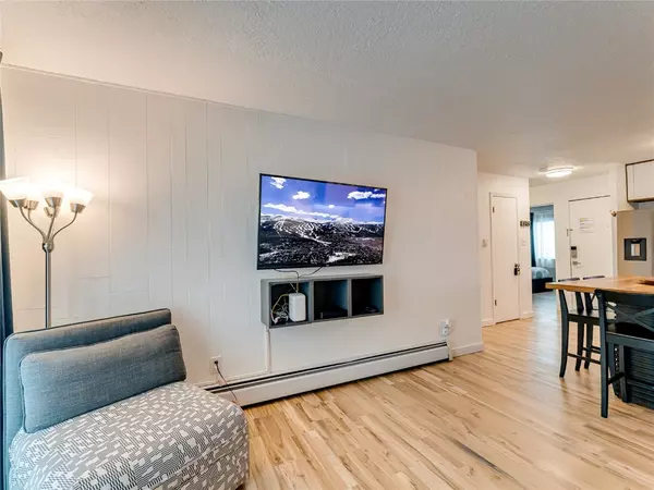 Dillon, CO 80435,675 Straight Creek DR #208