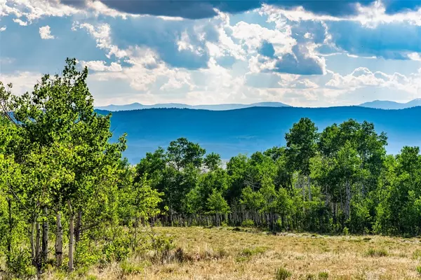 Como, CO 80432,00 Night Hawk CIR