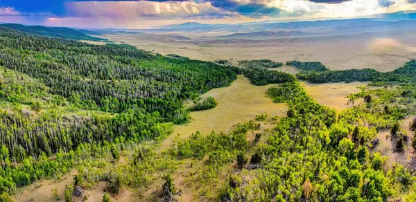 Como, CO 80432,00 Night Hawk CIR