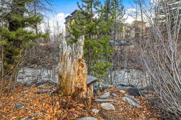 Steamboat  Springs, CO 80487,505 Anglers DR #102