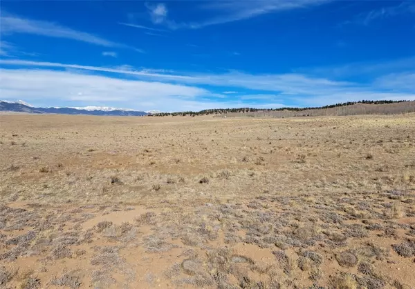 Como, CO 80432,513 Night Hawk CIR