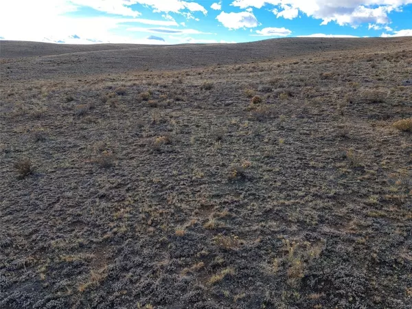 Hartsel, CO 80449,0 Park AVE