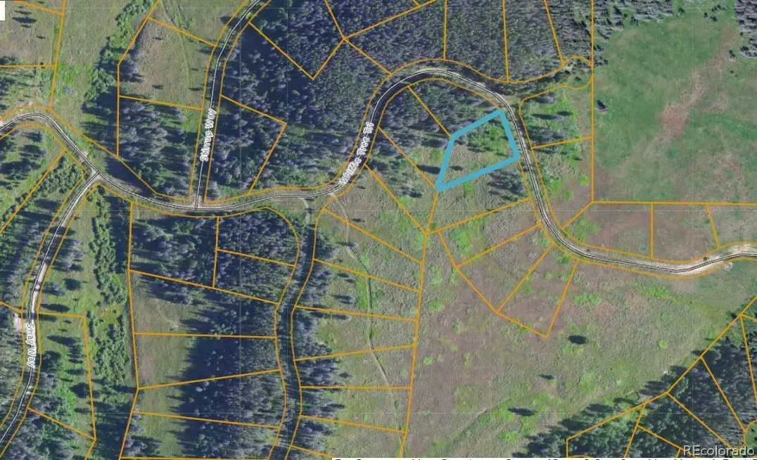Oak  Creek, CO 80467,08 Whiffle Tree TRL