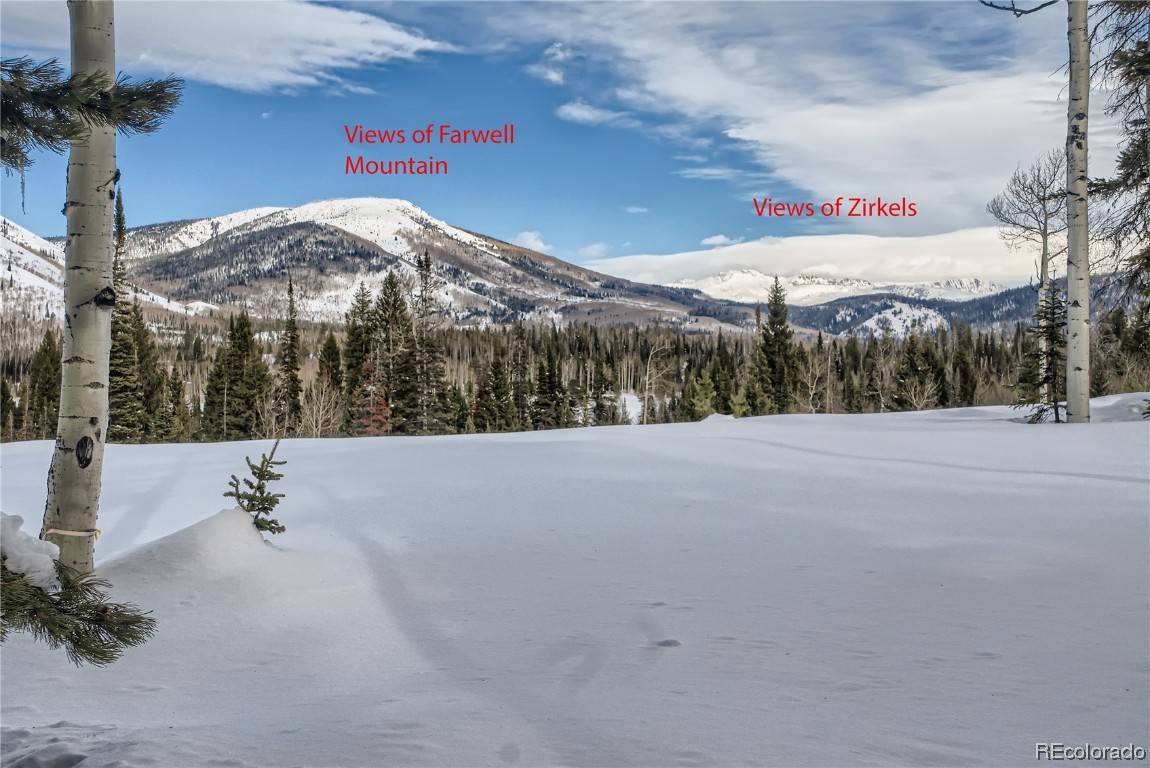 Clark, CO 80428,60160 Crazy Horse WAY
