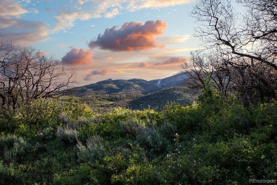 34485 Panorama DR, Steamboat  Springs, CO 80487