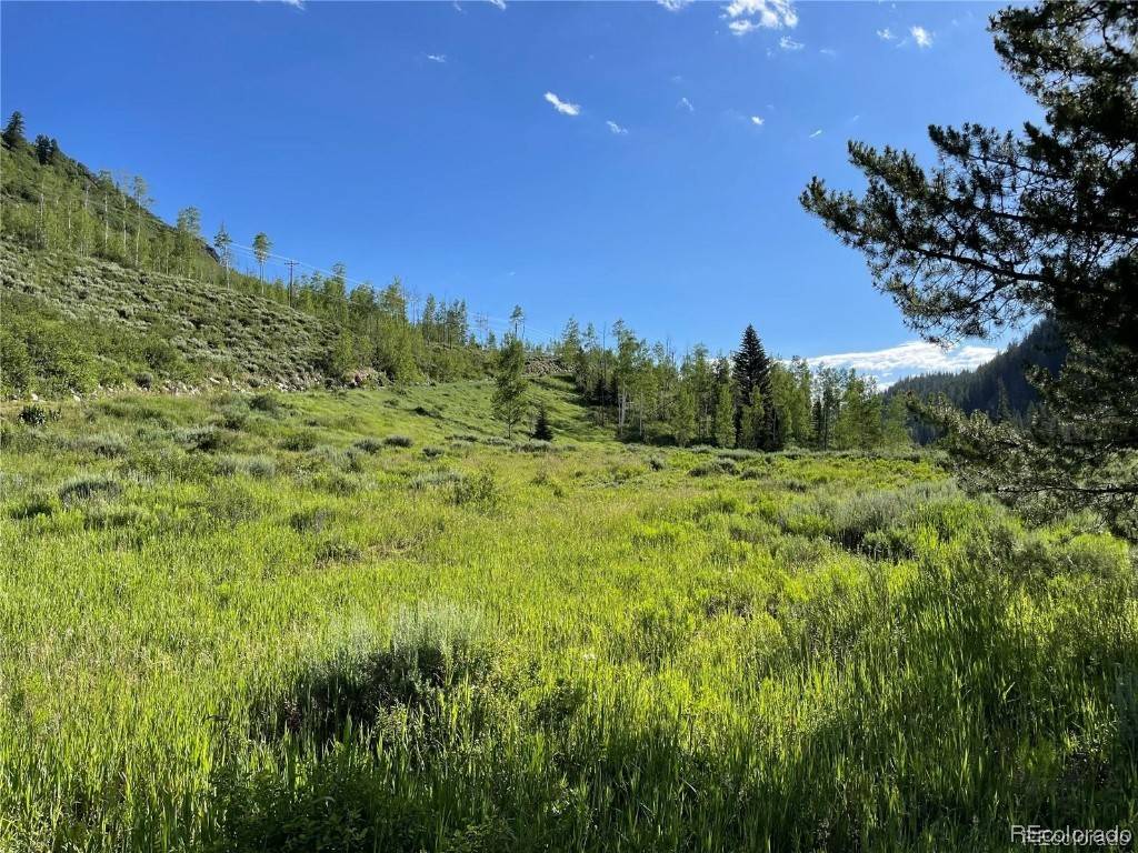 56285 Zirkel View LN,  Clark,  CO 80428