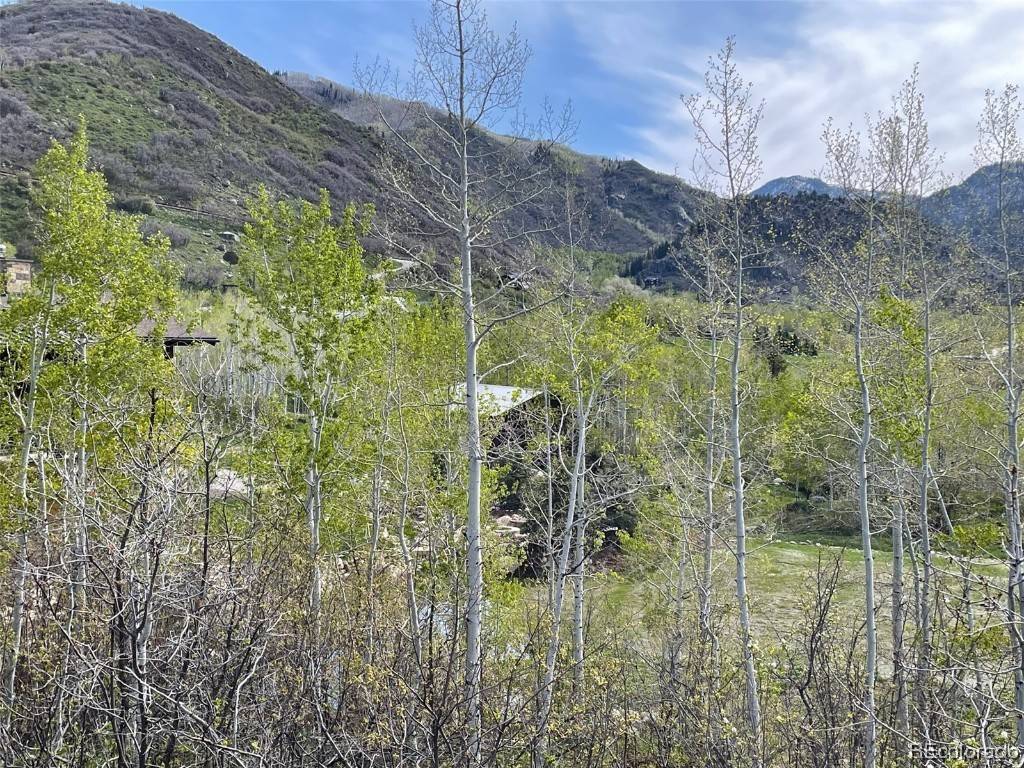 Steamboat  Springs, CO 80487,340 Boulder Ridge RD