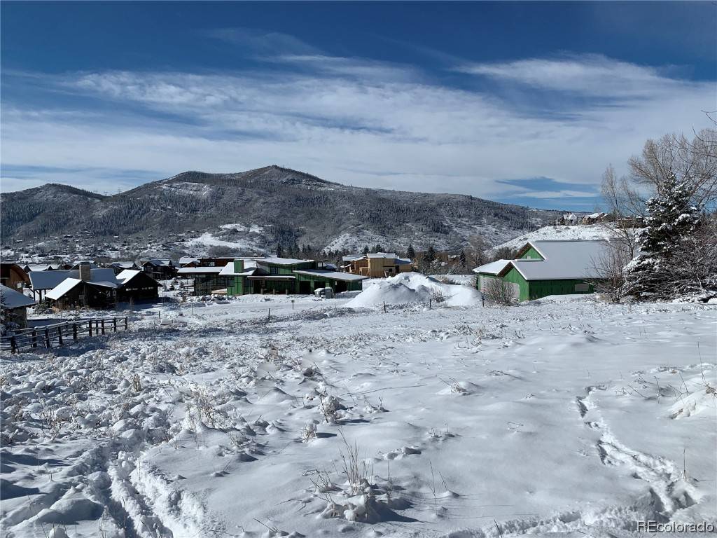 1455 Storm Peak LN, Steamboat  Springs, CO 80487