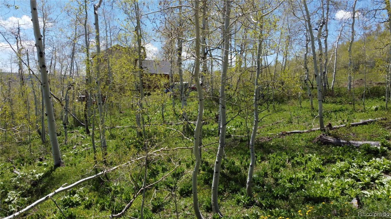 Clark, CO 80428,57850 Longfellow WAY