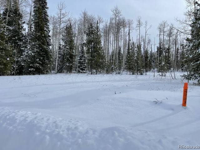 Clark, CO 80428,59100 Button Willow DR