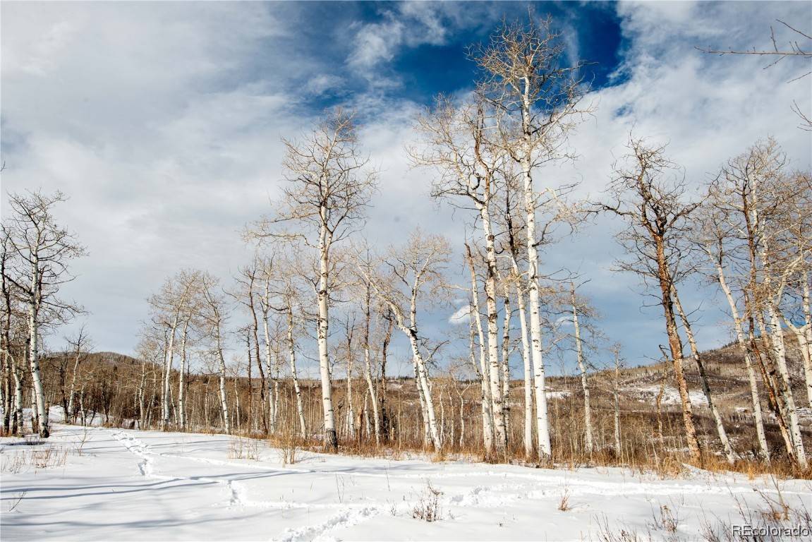 Clark, CO 80428,56005 Hannahs WAY
