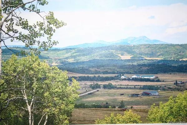 28255 Valley View LN, Steamboat  Springs, CO 80487