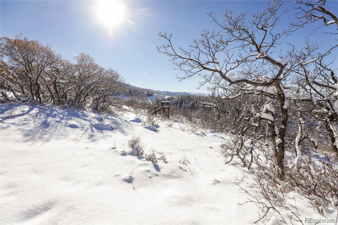 Steamboat  Springs, CO 80487,32715 Falcon DR
