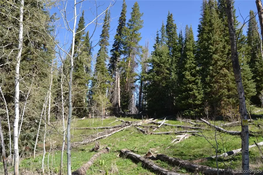 57010 Golden Tide PL, Clark, CO 80428