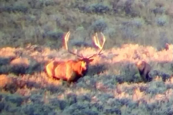 CO 81610,28507 Highway 40