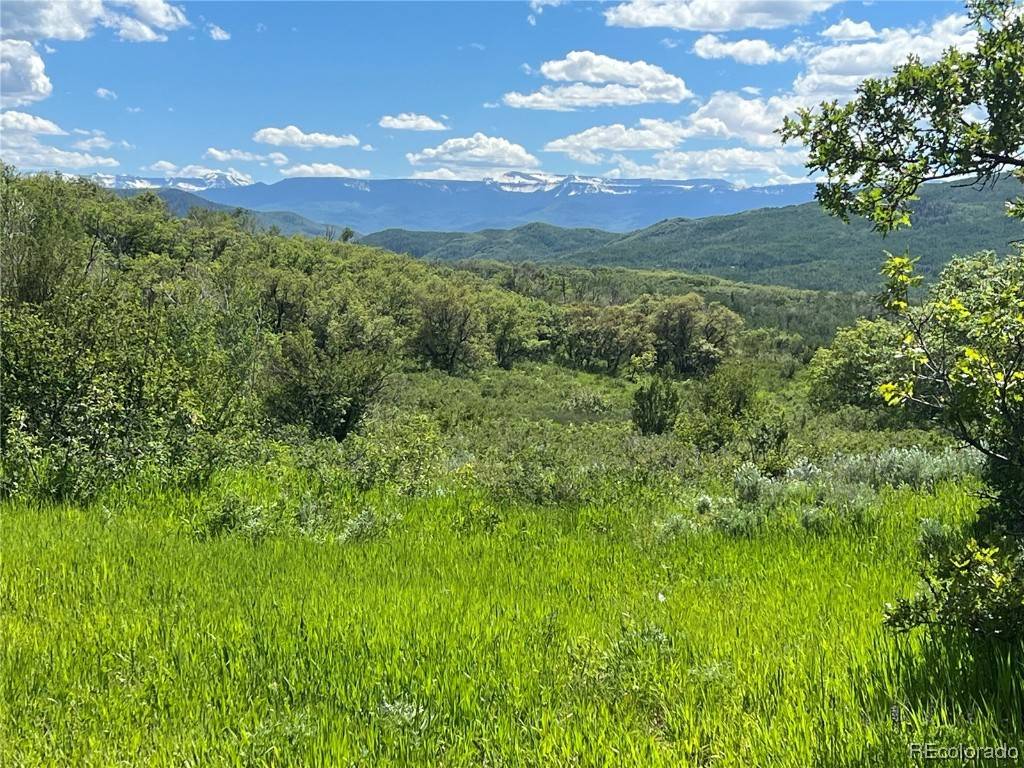 Steamboat  Springs, CO 80477,27165 Sundance TRL