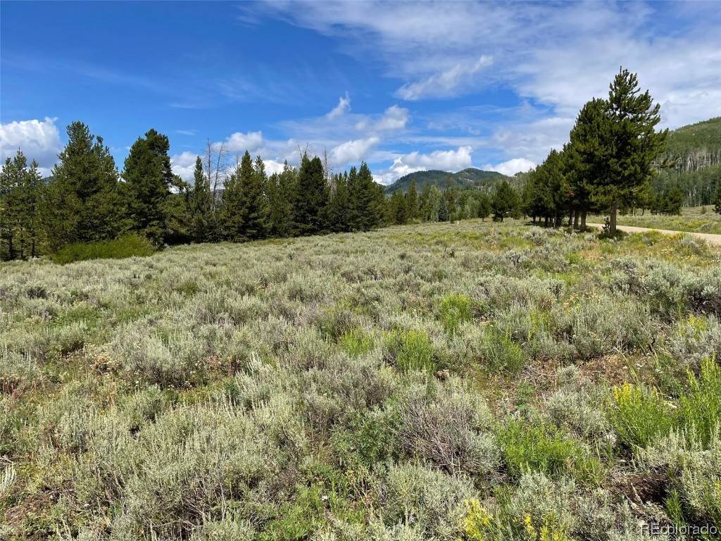 Clark, CO 80428,25820 Connor CT