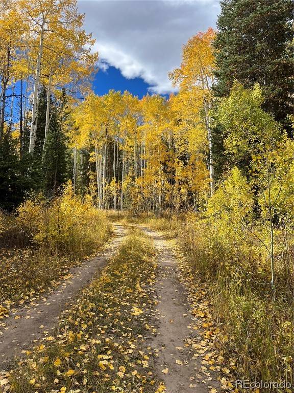 20300 King Bolt TRL, Oak  Creek, CO 80467