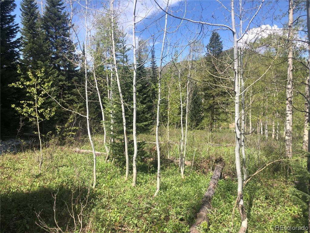 Steamboat  Springs, CO 80487,000 Miners Dream PL