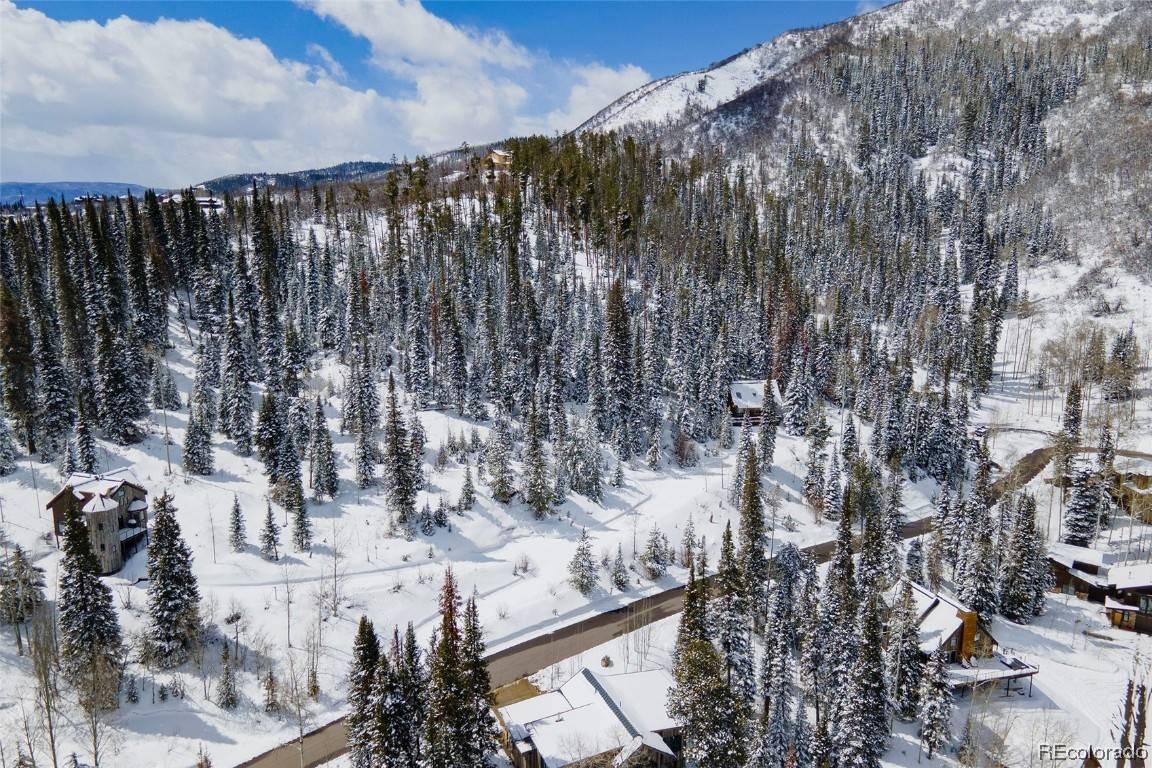 Steamboat  Springs, CO 80487,36879 Tree Haus DR