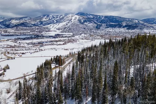 Steamboat  Springs, CO 80487,36879 Tree Haus DR