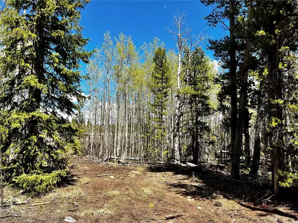 84 Muhly CT, F A I R P L A Y, CO 80440