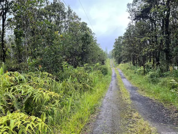 11-2687 Lelehuna RD, Volcano, HI 96785