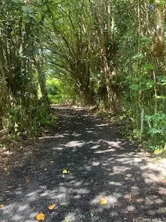 Keaau, HI 96749,16-2078 Keaau Pahoa RD