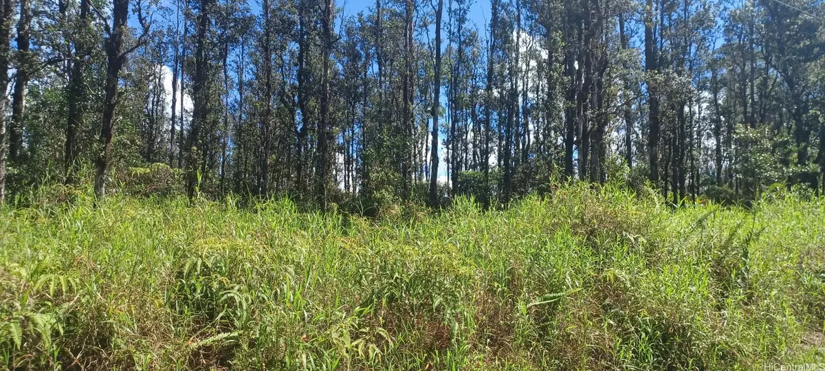 Mountain View, HI 96771,6th Ooaa RD