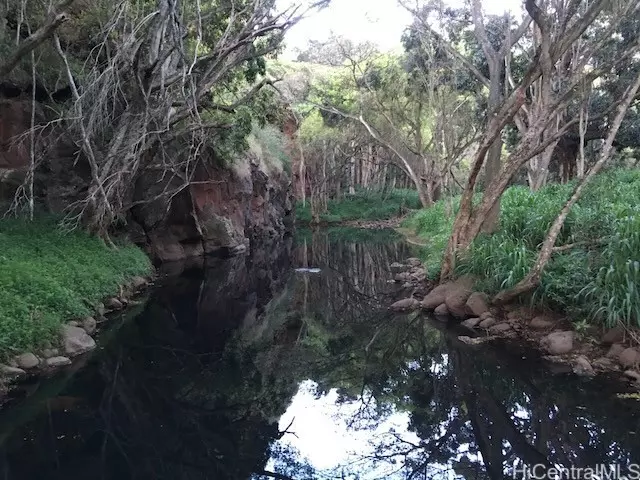 Haleiwa, HI 96712,0000 Kamehameha HWY #Lot 38