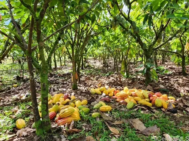 Keaau, HI 96749,16-1774 40th AVE