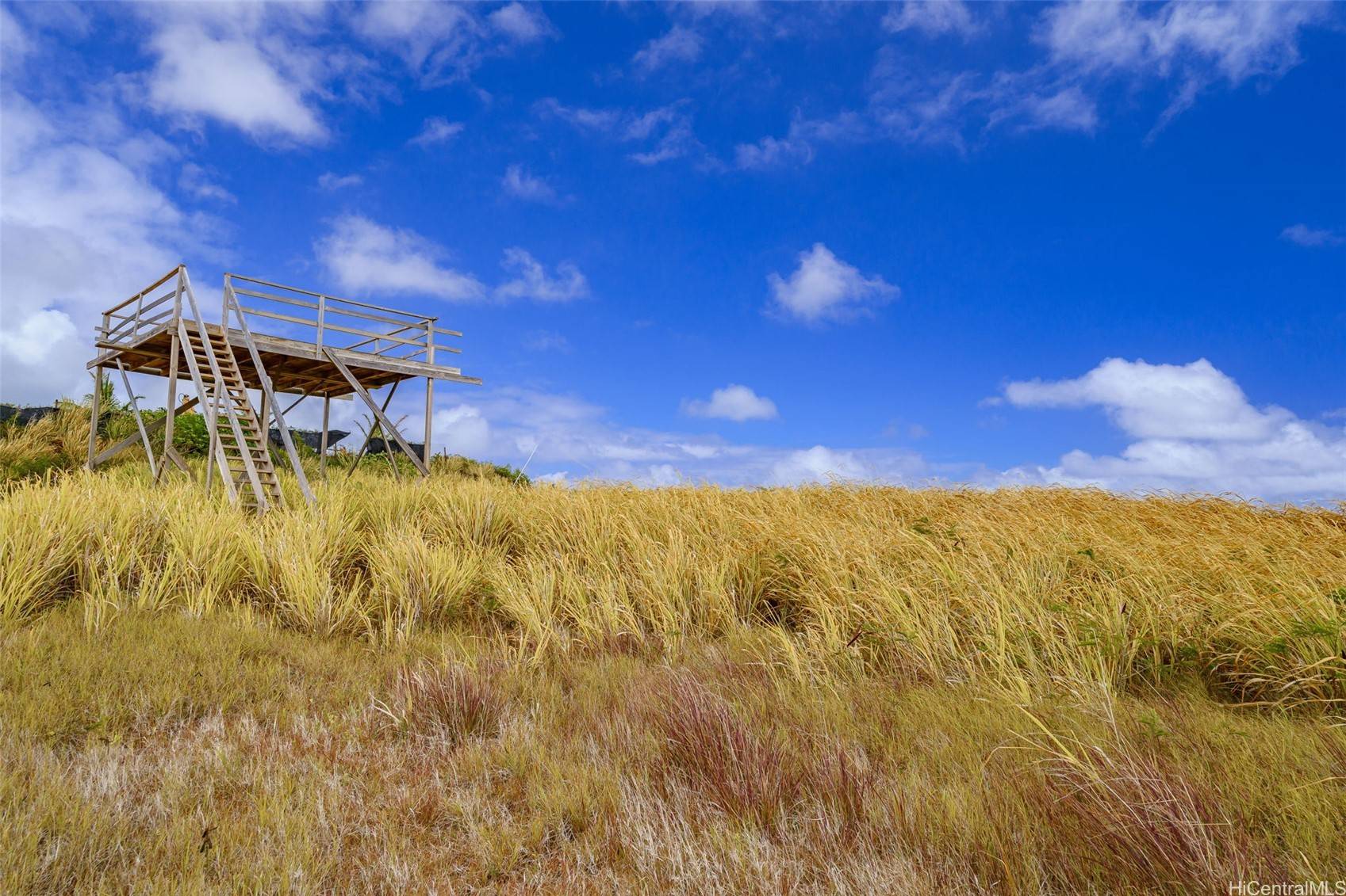 Kahuku, HI 96731,56-1080 Kamehameha HWY #2