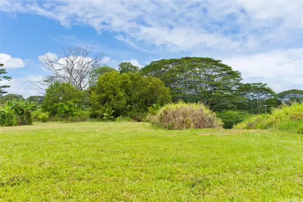 Pepeekeo, HI 96783,28-1168 Loa RD