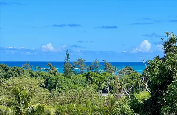 Hauula, HI 96717,53-416 Kamehameha HWY #A