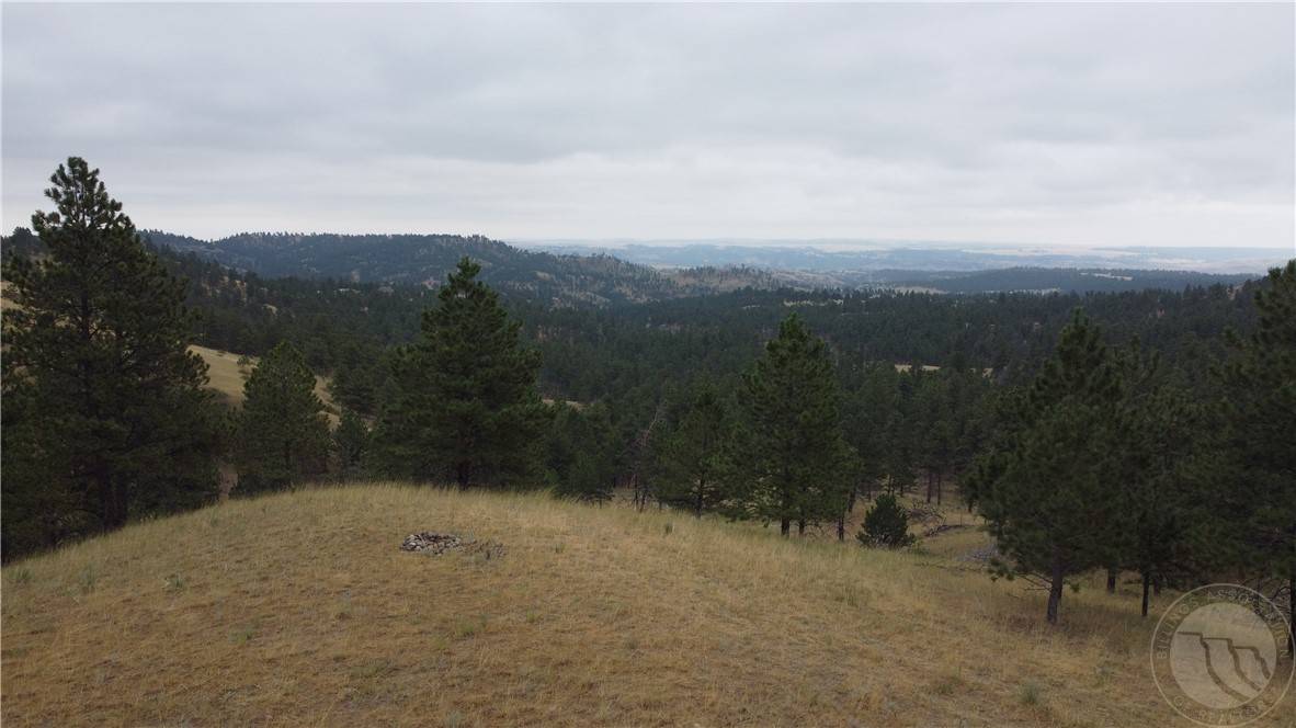 Columbus, MT 59019,Lot 64 Pine Crest RD