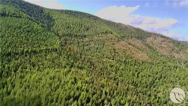 Other, MT 59859,0 W Fork Combest Creek Road