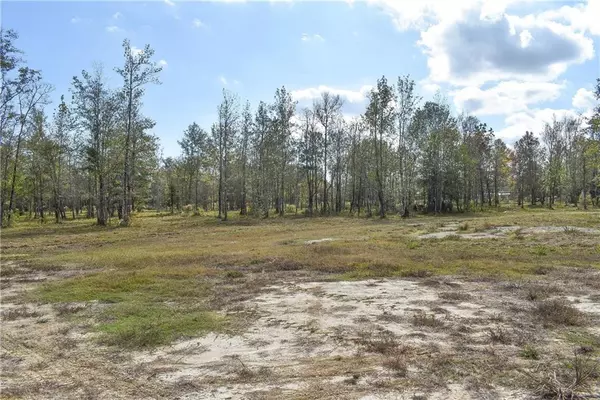 Livingston, LA 70754,N RANGE RD