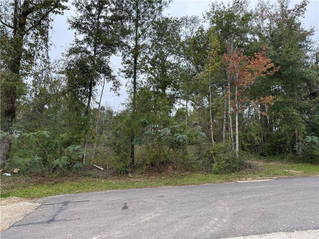 Albany, LA 70711,29507 CLAY ST