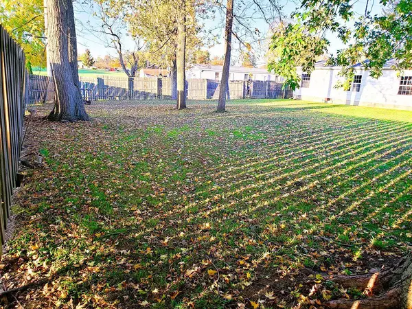 Bucyrus, OH 44820,915 Whetstone Street