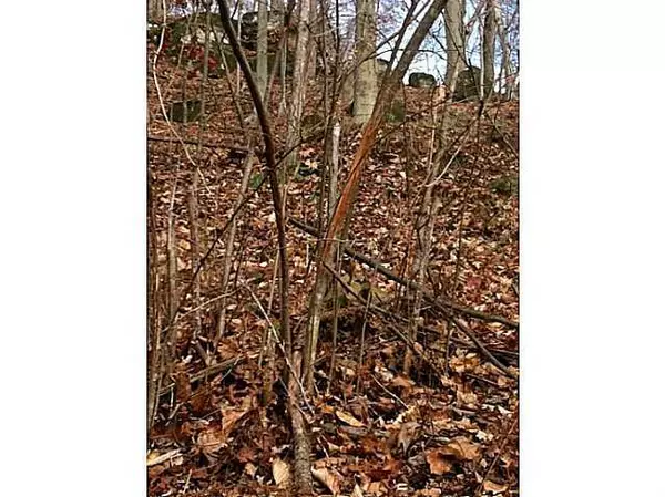 35450 Ball Run Road, Pomeroy, OH 45769