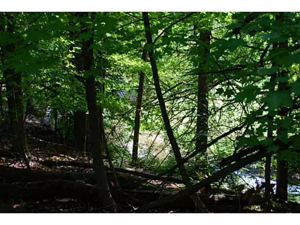 New Albany, OH 43054,7169 Tumblebrook Drive #Lot 450