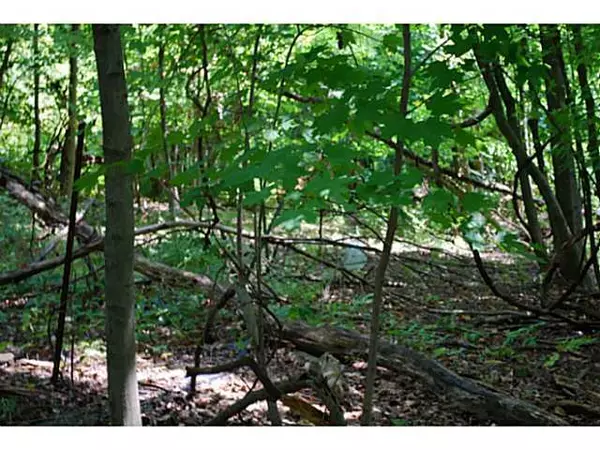 New Albany, OH 43054,7169 Tumblebrook Drive #Lot 450