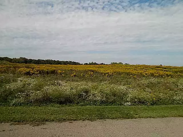 Johnstown, OH 43031,124 Dutch Ridge Way #LOT 14