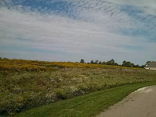 Johnstown, OH 43031,109 Dutch Ridge Way #LOT 3