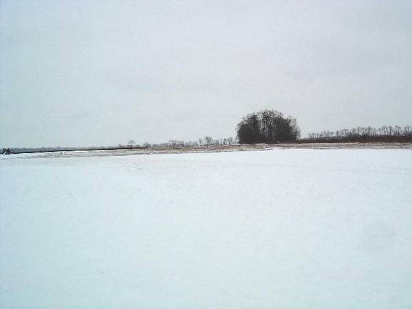 Pleasantville, OH 43148,6644 Woolard Road