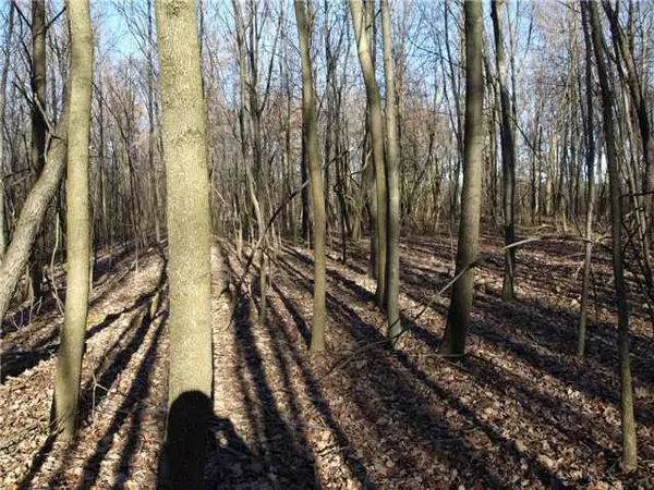 Galena, OH 43021,12776 Center Village Road