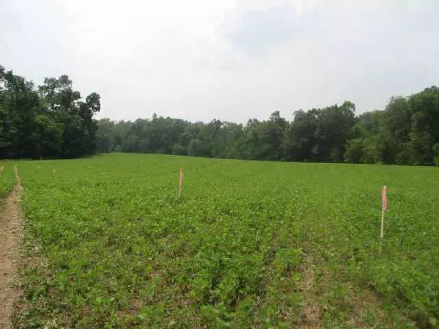 0 Castle Road #LOT 2, Alexandria, OH 43001