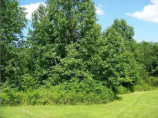 Howard, OH 43028,0 Crestrose Drive #Lot 159 NorthRH