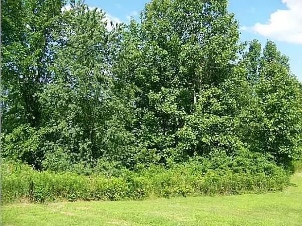 Howard, OH 43028,0 Crestrose Drive #Lot 159 NorthRH